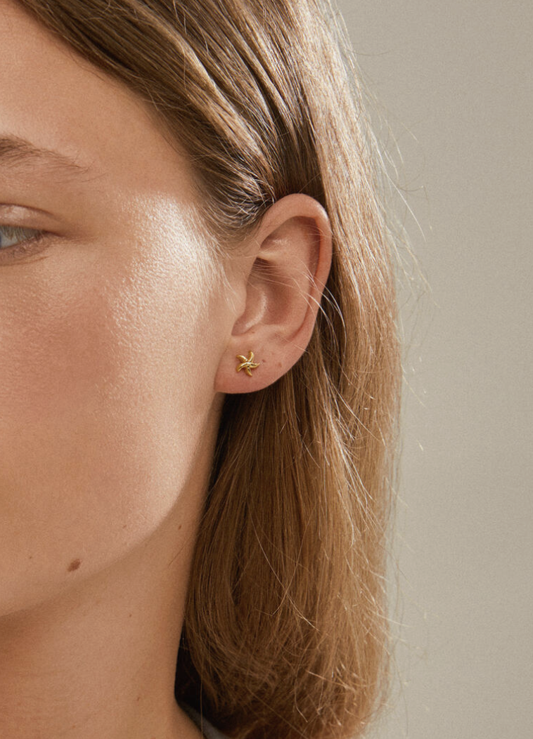 Boucles d'oreilles Pilgrim 